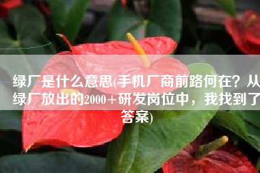 绿厂是什么意思(手机厂商前路何在？从绿厂放出的2000+研发岗位中，我找到了答案)