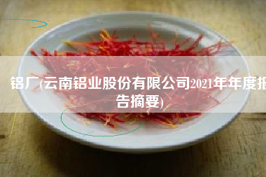 铝厂(云南铝业股份有限公司2021年年度报告摘要)