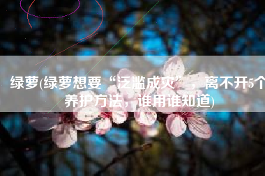 绿萝(绿萝想要“泛滥成灾”，离不开5个养护方法，谁用谁知道)