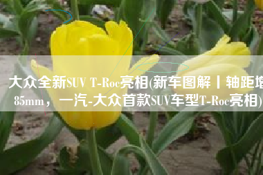 大众全新SUV T-Roc亮相(新车图解丨轴距增85mm，一汽-大众首款SUV车型T-Roc亮相)