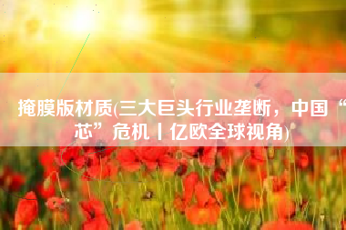 掩膜版材质(三大巨头行业垄断，中国“芯”危机丨亿欧全球视角)