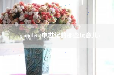 gauntlets(中世纪的那些玩意儿)