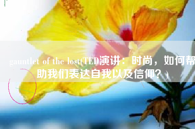 gauntlet of the lost(TED演讲：时尚，如何帮助我们表达自我以及信仰？)