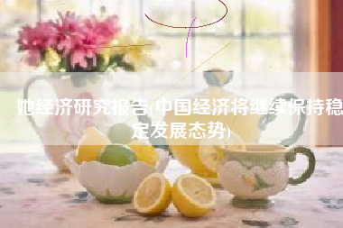 她经济研究报告(中国经济将继续保持稳定发展态势)