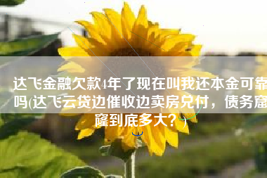 达飞金融欠款4年了现在叫我还本金可靠吗(达飞云贷边催收边卖房兑付，债务窟窿到底多大？)