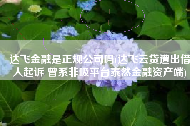 达飞金融是正规公司吗(达飞云贷遭出借人起诉 曾系非吸平台泰然金融资产端)