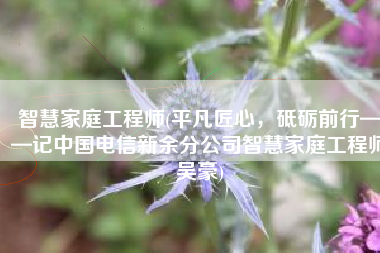 智慧家庭工程师(平凡匠心，砥砺前行——记中国电信新余分公司智慧家庭工程师吴豪)