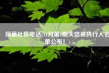 凤巢社区电话(11月第1期失信被执行人名单公布！)