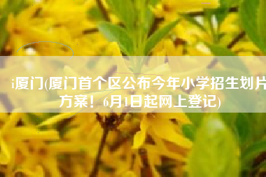 i厦门(厦门首个区公布今年小学招生划片方案！6月1日起网上登记)