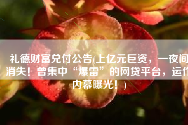 礼德财富兑付公告(上亿元巨资，一夜间消失！曾集中“爆雷”的网贷平台，运作内幕曝光！)