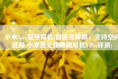 小米3pro蓝牙耳机(自适应降噪，支持空间音频 小米真无线降噪耳机3 Pro评测)