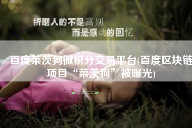 百度莱茨狗微积分交易平台(百度区块链项目“莱茨狗”被曝光)
