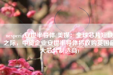 nexperia安世半导体(美媒：全球芯片短缺之际，中资企业安世半导体将收购英国最大芯片制造商)
