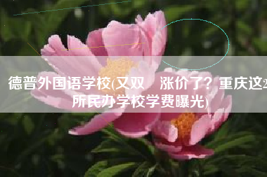 德普外国语学校(又双叒涨价了？重庆这20所民办学校学费曝光)