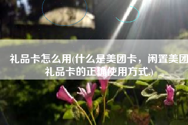 礼品卡怎么用(什么是美团卡，闲置美团礼品卡的正确使用方式.)