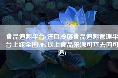 食品追溯平台(进口冷链食品追溯管理平台上线全国90%以上食品来源可查去向可追)
