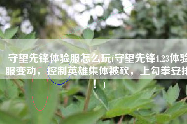 守望先锋体验服怎么玩(守望先锋4.23体验服变动，控制英雄集体被砍，上勾拳安排！)