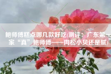 鲍师傅糕点哪几款好吃(测评：广东第一家“真”鲍师傅——肉松小贝还是腻)