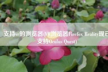 支持vr的浏览器(VR浏览器Firefox Reality现已支持Oculus Quest)