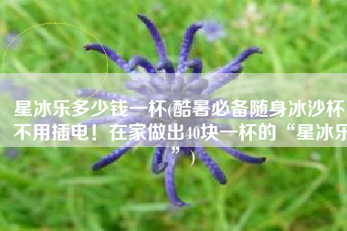 星冰乐多少钱一杯(酷暑必备随身冰沙杯，不用插电！在家做出40块一杯的“星冰乐”)