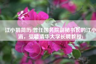江小娟简历(曾任国务院副秘书长的江小涓，受聘清华大学长聘教授)
