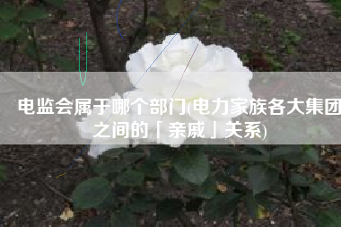 电监会属于哪个部门(电力家族各大集团之间的「亲戚」关系)