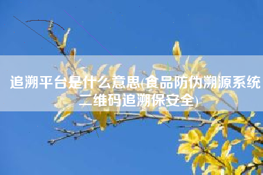 追溯平台是什么意思(食品防伪溯源系统，二维码追溯保安全)