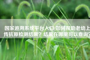 国家追溯系统平台入口(如何帮助老幼上传抗原检测结果？结果在哪里可以查询？)