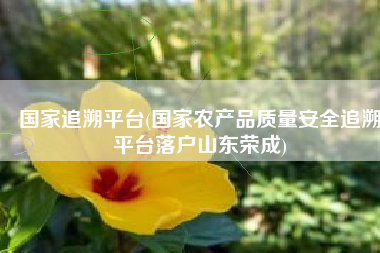国家追溯平台(国家农产品质量安全追溯平台落户山东荣成)