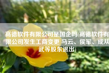 高德软件有限公司是国企吗(高德软件有限公司发生工商变更 马云、侯军、成从武等股东退出)