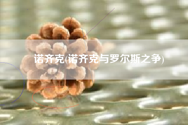 诺齐克(诺齐克与罗尔斯之争)