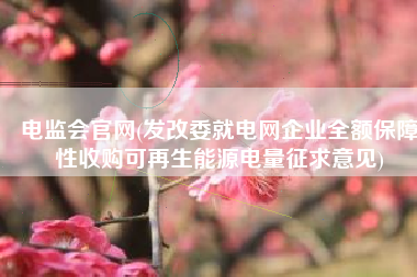电监会官网(发改委就电网企业全额保障性收购可再生能源电量征求意见)