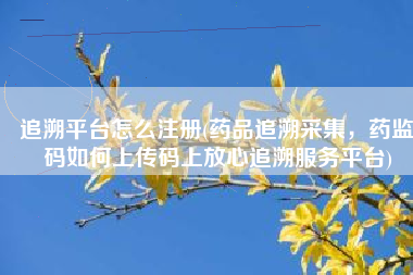 追溯平台怎么注册(药品追溯采集，药监码如何上传码上放心追溯服务平台)