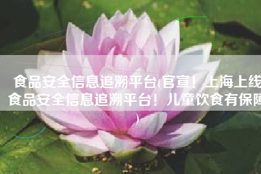 食品安全信息追溯平台(官宣！上海上线食品安全信息追溯平台！儿童饮食有保障)