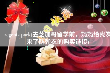 regents park(去芝加哥留学前，妈妈给我发来了防弹衣的购买链接)