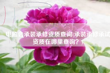 电监会承装承修资质查询(承装承修承试资质在哪里查询？)