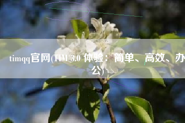 timqq官网(TIM 3.0 体验：简单、高效、办公)