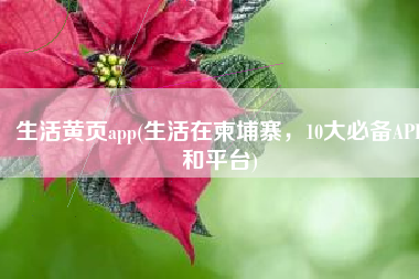 生活黄页app(生活在柬埔寨，10大必备APP和平台)
