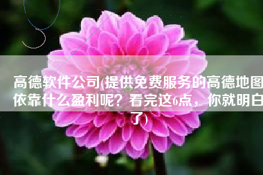 高德软件公司(提供免费服务的高德地图依靠什么盈利呢？看完这6点，你就明白了)