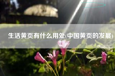 生活黄页有什么用处(中国黄页的发展)