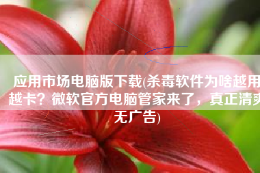 应用市场电脑版下载(杀毒软件为啥越用越卡？微软官方电脑管家来了，真正清爽无广告)