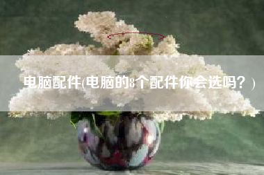 电脑配件(电脑的8个配件你会选吗？)
