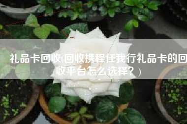 礼品卡回收(回收携程任我行礼品卡的回收平台怎么选择？)