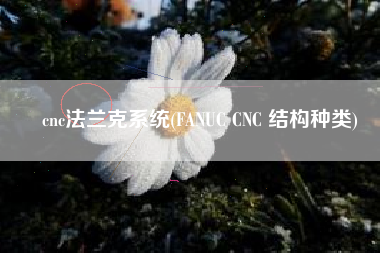 cnc法兰克系统(FANUC CNC 结构种类)