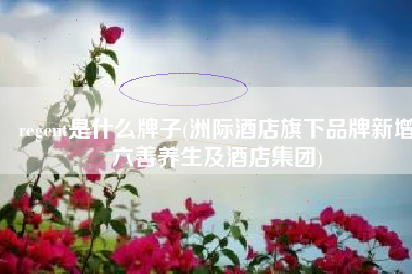 regent是什么牌子(洲际酒店旗下品牌新增六善养生及酒店集团)