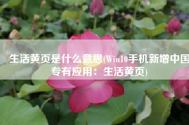 生活黄页是什么意思(Win10手机新增中国专有应用：生活黄页)