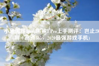 小米黑鲨3pro(黑鲨3 Pro上手测评：岂止2K屏+高通865，2020最强游戏手机)
