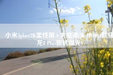 小米3plus(2K柔性屏+大底镜头 小米3款骁龙8 Plus新机曝光)
