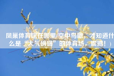 凤巢体育馆在哪里(空中鸟瞰，才知道什么是“大气磅礴”的体育场，震撼！)