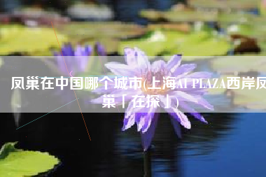凤巢在中国哪个城市(上海AI PLAZA西岸凤巢「在探」)